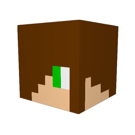 ToxicAUT Minecraft avatar head, 3D render