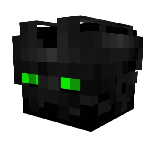 ToxicBoyX5 Minecraft avatar head, 3D render