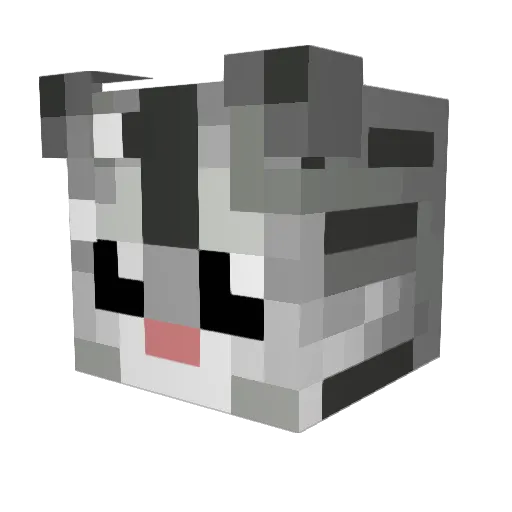 ToxicCarson Minecraft avatar head, 3D render