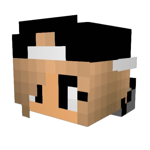 ToxicCat14 Minecraft avatar head, 3D render