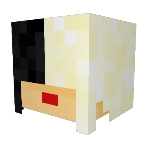 ToxicCharly97 Minecraft avatar head, 3D render