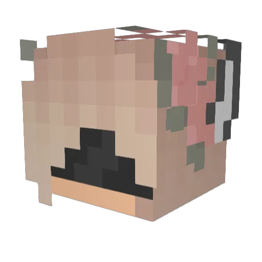 ToxicDaisy2105 Minecraft avatar head, 3D render