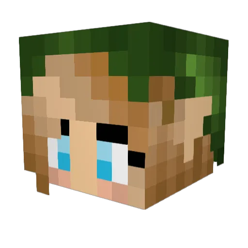 ToxicDrink Minecraft avatar head, 3D render