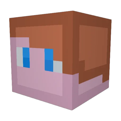 ToxicDumi Minecraft avatar head, 3D render