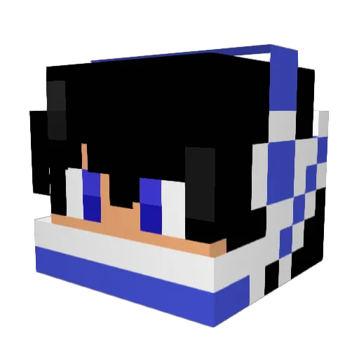 ToxicFag Minecraft avatar head, 3D render