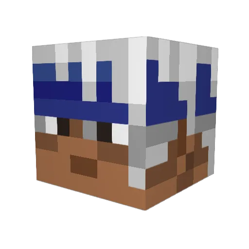 ToxicFlame Minecraft avatar head, 3D render