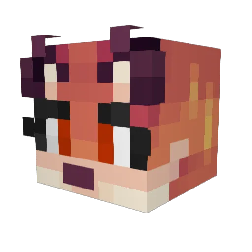 ToxicFox2005 Minecraft avatar head, 3D render