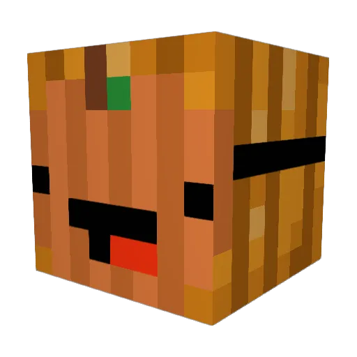 ToxicFri3nds Minecraft avatar head, 3D render