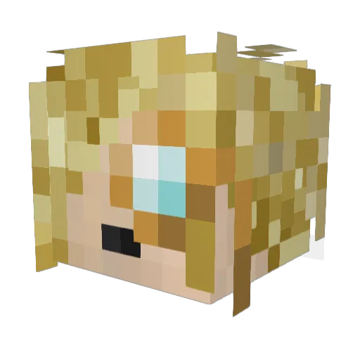 ToxicFsh Minecraft avatar head, 3D render