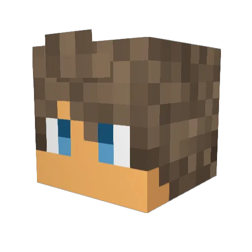 ToxicGamer3099 Minecraft avatar head, 3D render