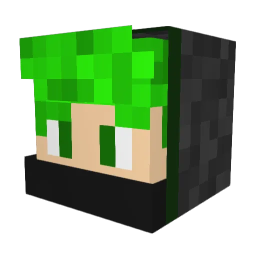ToxicGamer421 Minecraft avatar head, 3D render