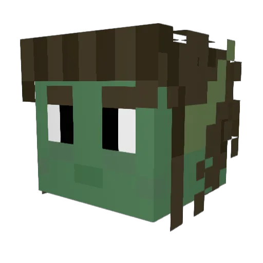 ToxicGirlfriend Minecraft avatar head, 3D render