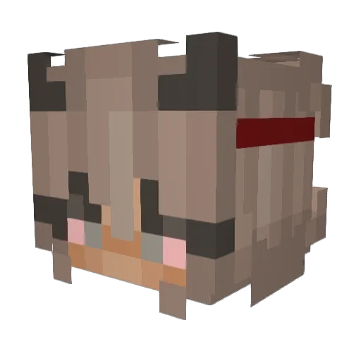 ToxicHavnax Minecraft avatar head, 3D render