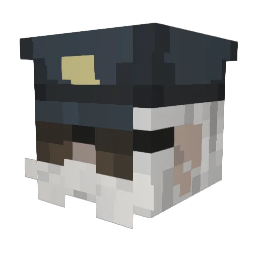 ToxicHollow Minecraft avatar head, 3D render