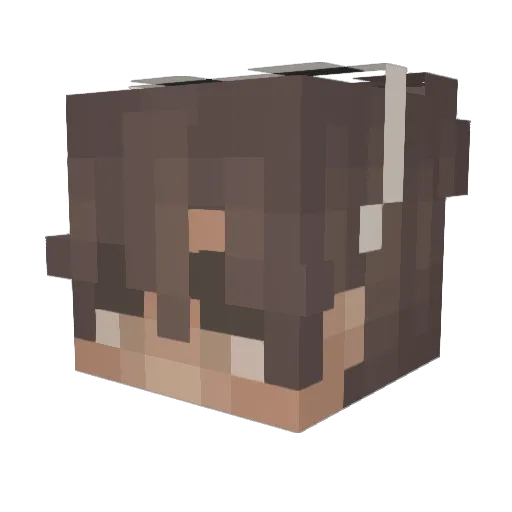 ToxicInsider Minecraft avatar head, 3D render