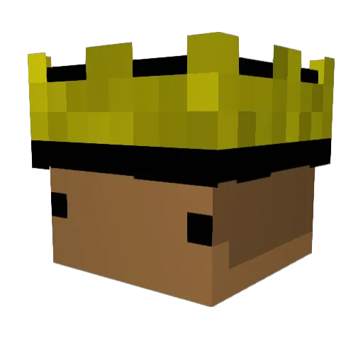 ToxicJay7 Minecraft avatar head, 3D render