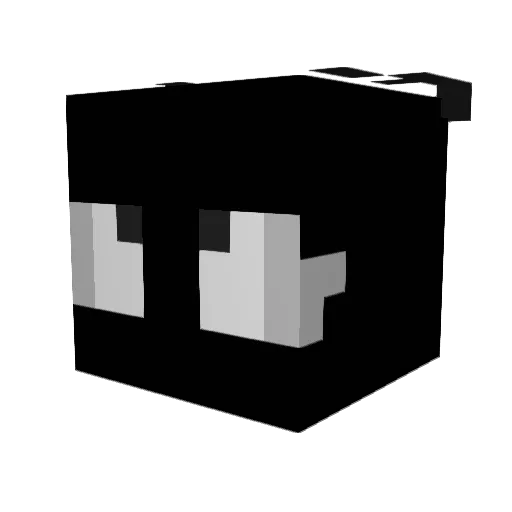 ToxicKidsz Minecraft avatar head, 3D render
