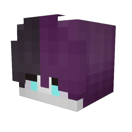ToxicLayner Minecraft avatar head, 3D render