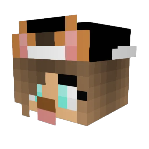 ToxicLottie Minecraft avatar head, 3D render