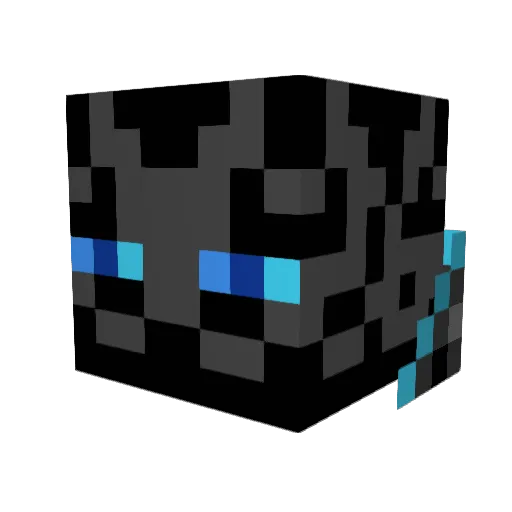 ToxicNick5 Minecraft avatar head, 3D render