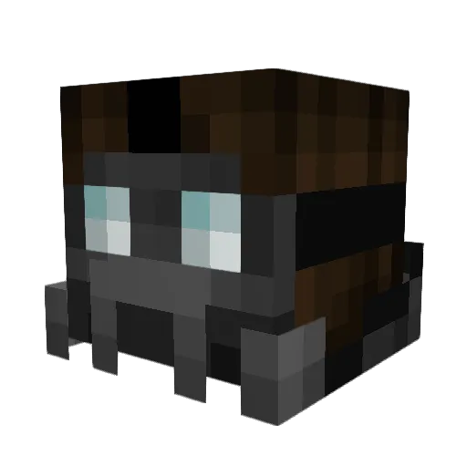 ToxicPixel1 Minecraft avatar head, 3D render