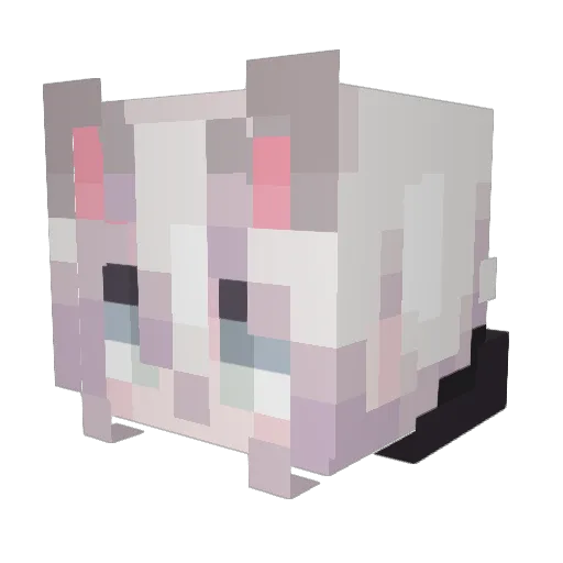 ToxicPrincessX9 Minecraft avatar head, 3D render