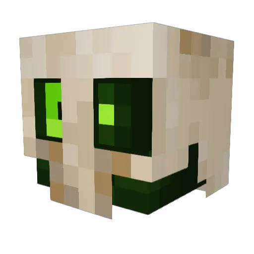 ToxicRim Minecraft avatar head, 3D render