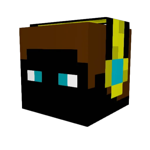 ToxicSlayer0100 Minecraft avatar head, 3D render