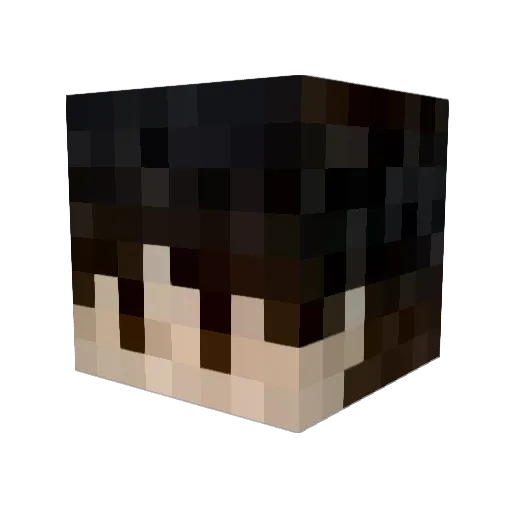 ToxicSmile123 Minecraft avatar head, 3D render