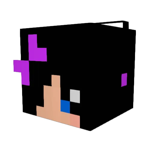 ToxicTay Minecraft avatar head, 3D render