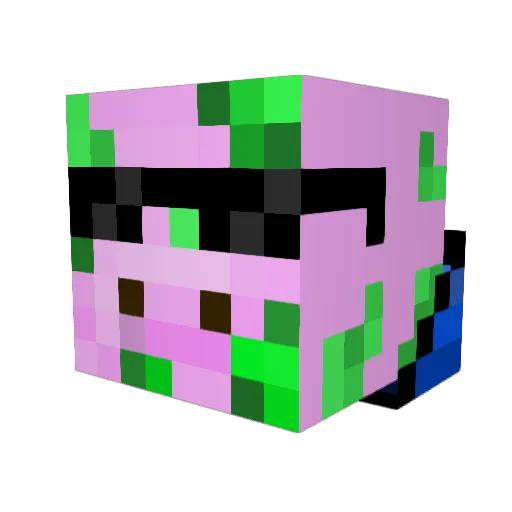 ToxicToast666 Minecraft avatar head, 3D render