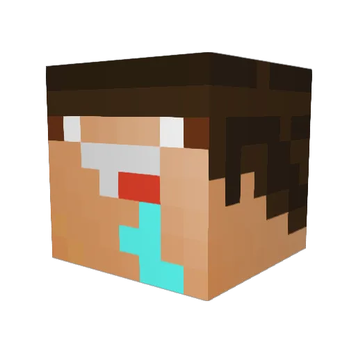 ToxicTurtle210 Minecraft avatar head, 3D render