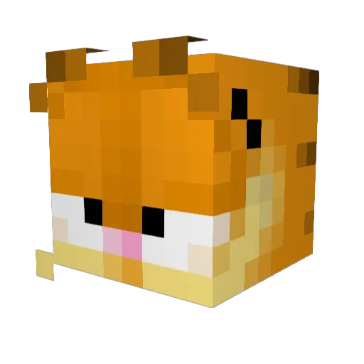 ToxicWake Minecraft avatar head, 3D render