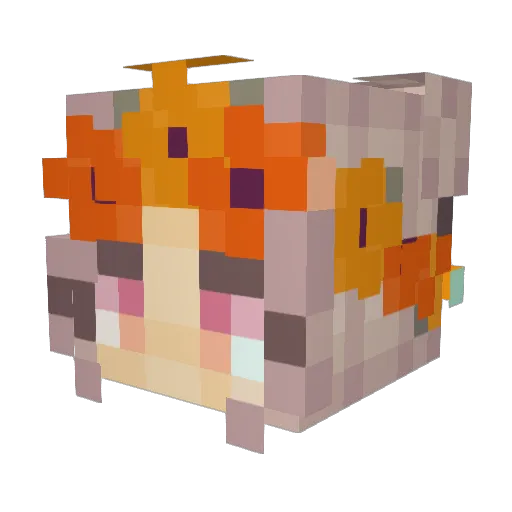 Toxic_Alien14 Minecraft avatar head, 3D render