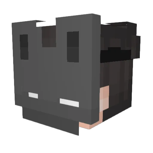 Toxic_Crush Minecraft avatar head, 3D render