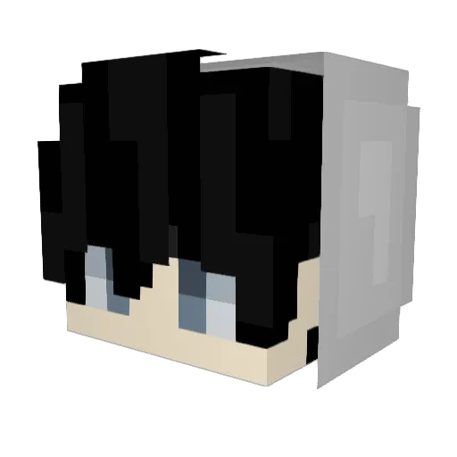 Toxic_Dude3456 Minecraft avatar head, 3D render