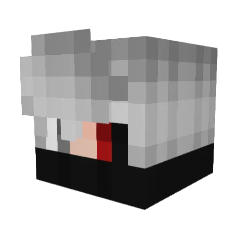 Toxic_Gaming56 Minecraft avatar head, 3D render