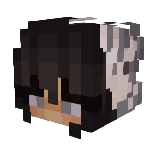 Toxic_Lemons Minecraft avatar head, 3D render