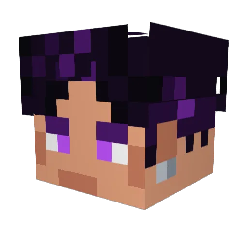 Toxic_Otter2 Minecraft avatar head, 3D render