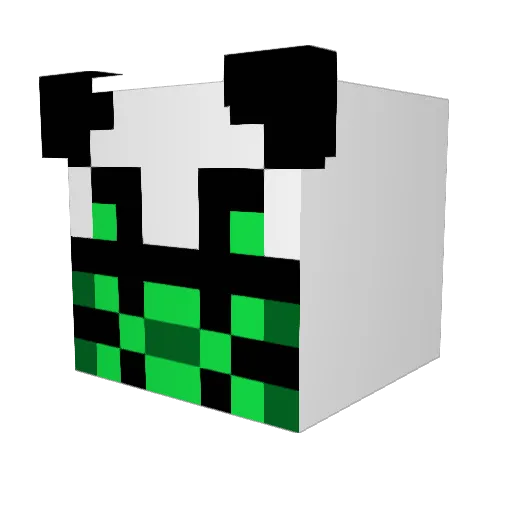 Toxic_Panda80 Minecraft avatar head, 3D render