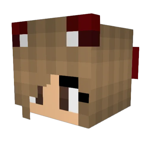 Toxic_YT Minecraft avatar head, 3D render