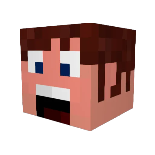Toxic_nachos Minecraft avatar head, 3D render