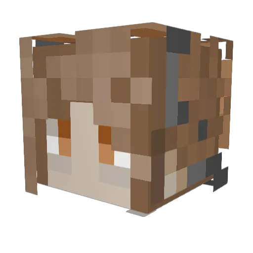 Toxical_Mist Minecraft avatar head, 3D render