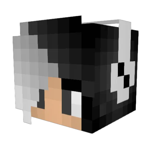 Toxicandee Minecraft avatar head, 3D render
