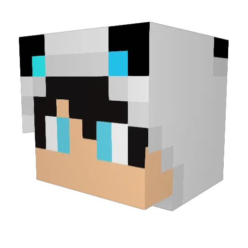 ToxicatePanda Minecraft avatar head, 3D render