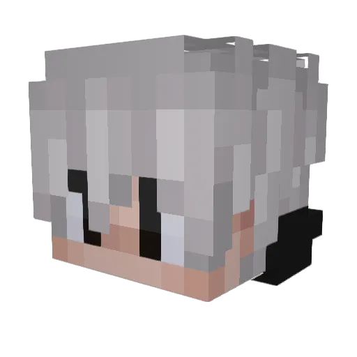 Toxicdennis18 Minecraft avatar head, 3D render