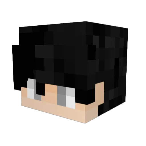 Toxicenrico14 Minecraft avatar head, 3D render