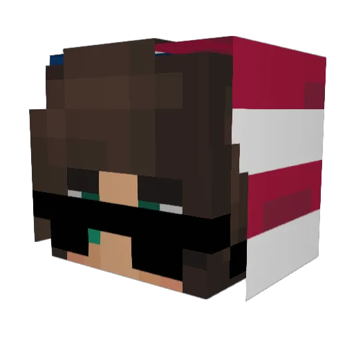 Toxicidk123 Minecraft avatar head, 3D render