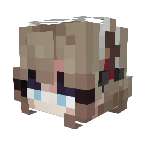 Toxicmagicalgirl Minecraft avatar head, 3D render