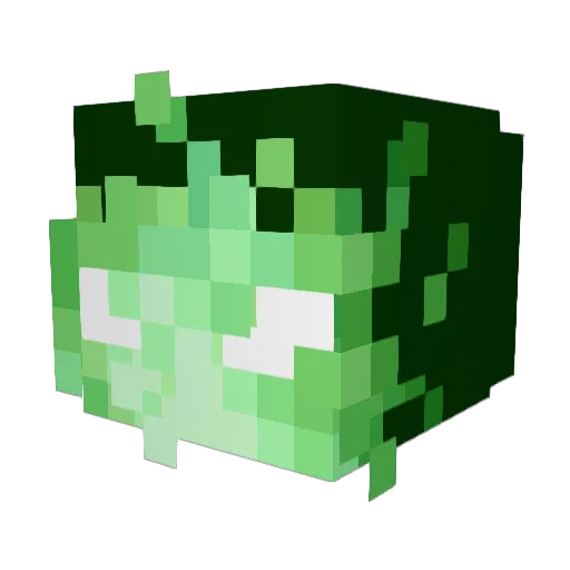 Toxicomnia Minecraft avatar head, 3D render